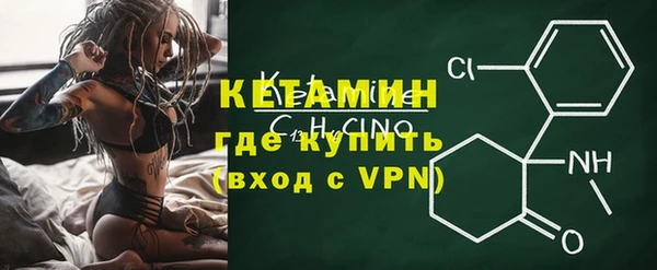 сатива Гусь-Хрустальный