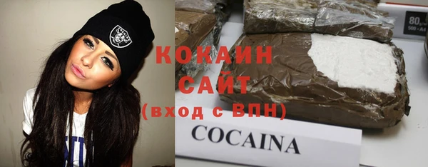 сатива Гусь-Хрустальный