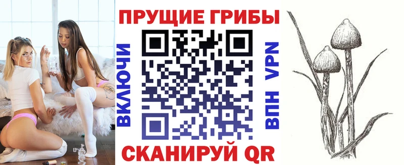 дарк нет официальный сайт наркошоп Сергач Галлюциногенные грибы Cubensis